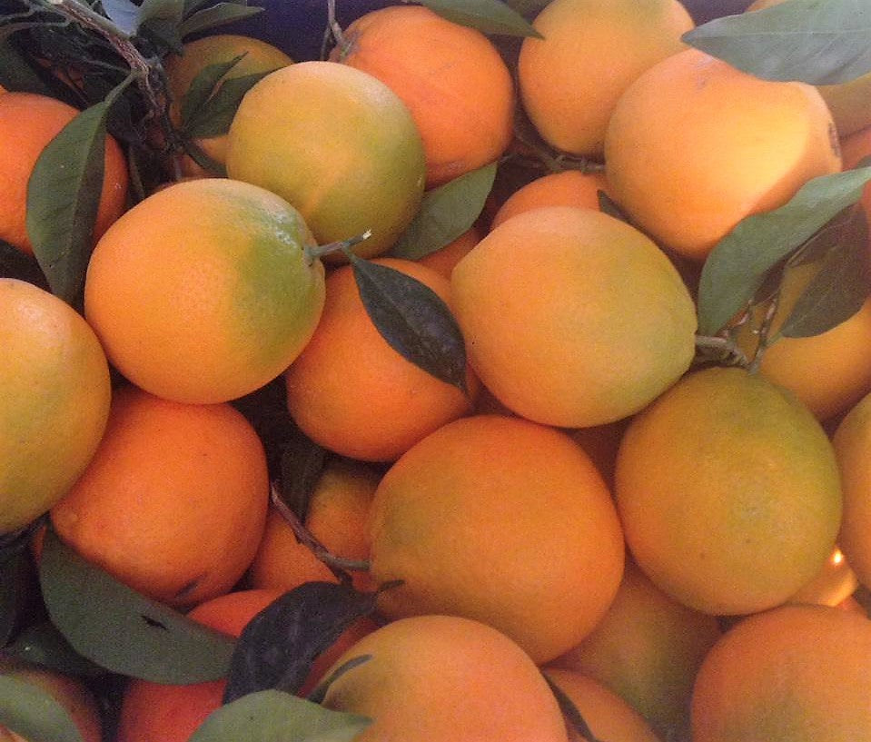 Oranges 1 kg