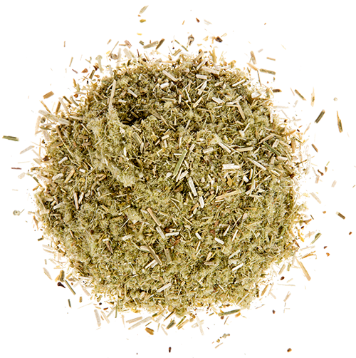 Wild Mountain Tea 10x1g