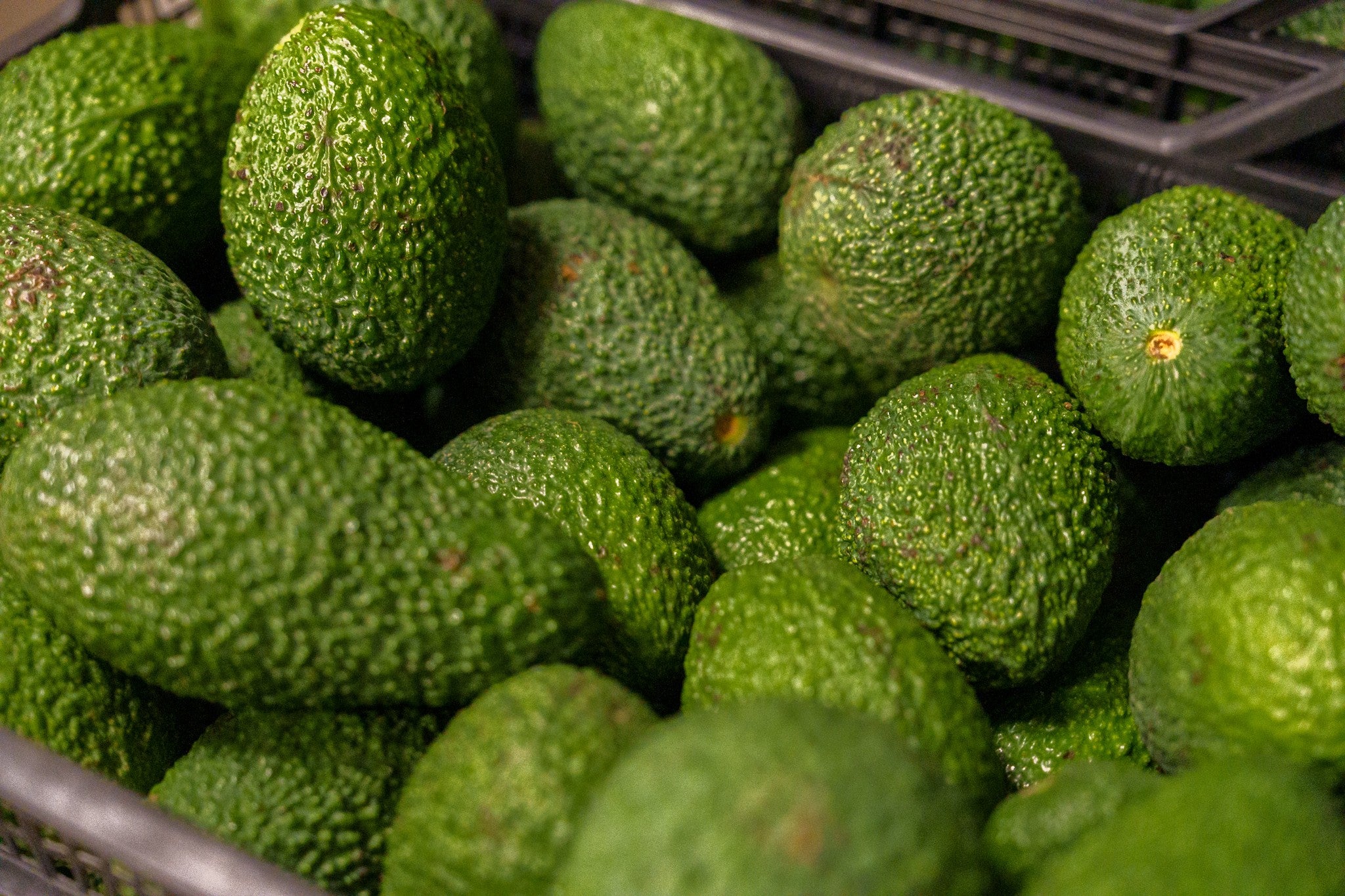 Hass avocado from Crete 1kg